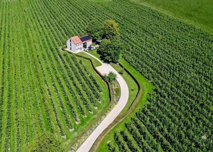 Βίλα Le Clos Du Verger *